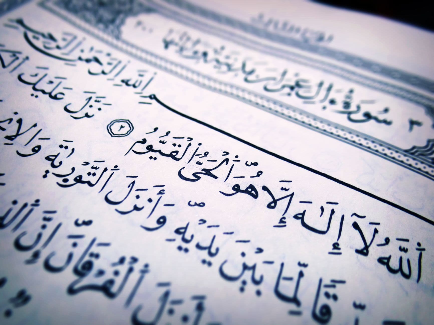 A page of Arabic calligraphy text